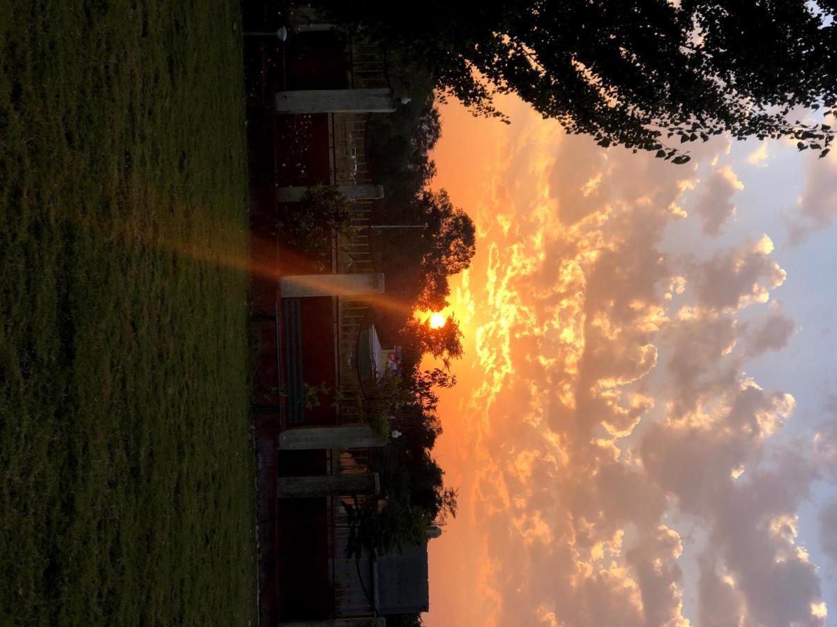 Pops Resort Palampur Bagian luar foto